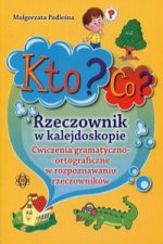 Kto? Co? Rzeczownik w kalejdoskopie
