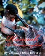 Hannah the Hummingbird