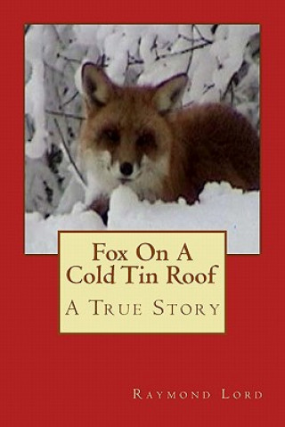 Fox on a cold tin roof