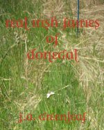 Real Irish Fairies of Donegal: Just Because You Don't Believe In Fairies Doesn't Mean They Don't Exist