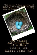 The Vulgar Autobiography of a Shoe: volume one