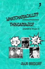 Whatchamacallit, Thingamajig
