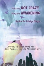 You're Not Crazy, You're Awakening: Journey To Discovering Your Soul Purpose, Joy And Abundant Life