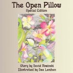 The Open Pillow Special Edition