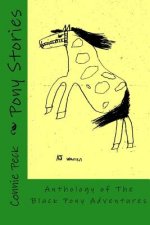 Pony Stories: Anthology of The Black Pony Adventures