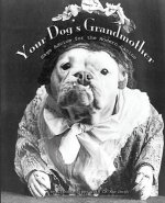 Your Dog's Grandmother: Sage Advice for the Modern Canine