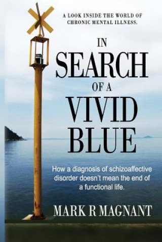 In Search of a Vivid Blue: How a diagnosis of schizoaffective disorder doesn't mean the end of a functional life.