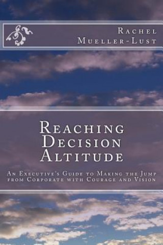 Reaching Decision Altitude: An Executive's Guide to Making the Jump from Corporate with Courage and Vision