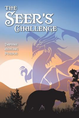 The Seer's Challenge
