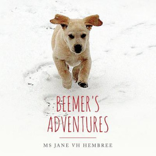 Beemer's Adventures