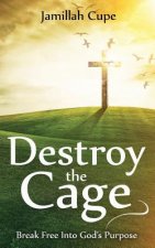 Destroy the Cage: Break Free Into God's Purpose