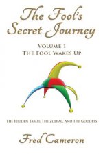 The Fool's Secret Journey Volume 1: The Fool Wakes Up