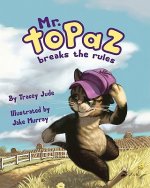 Mr. Topaz Breaks the Rules