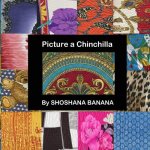 Picture a Chinchilla