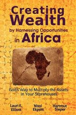 Creating Wealth by Harnessing Opportunities in Africa: God's Way to Multiply the Assets in Your Storehouses