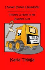 I Never Drove a Bulldozer: There's a Hole in my Bucket List