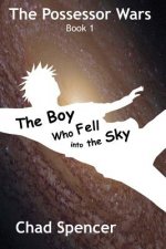 The Boy Who Fell into the Sky