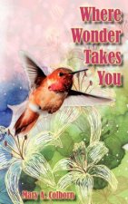 Where Wonder Takes You