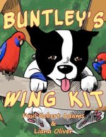 Buntley's Wing Kit