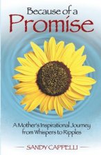 Because of a Promise: A Mother's Spiritual Journey from Whispers to Ripples