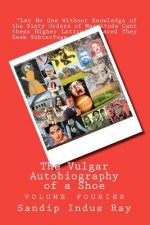 The Vulgar Autobiography of a Shoe: volume fourier