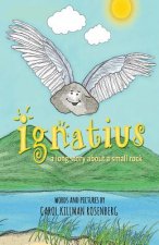 Ignatius: a long story about a small rock