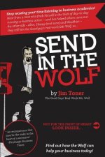 Send in the Wolf: The Good Guys' Mr. Wolf