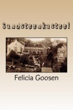 Sandsteenkasteel: 'n Historiese roman