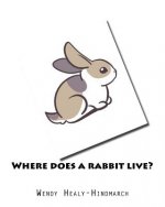 Where does a rabbit live?