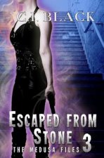 The Medusa Files, Case 3: Escaped from Stone