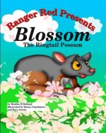 Ranger Red Presents: Blossom, the Ringtail Possum