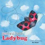 The Red and Black Ladybug