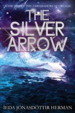 The Silver Arrow Illustrated