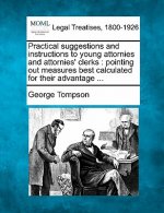 Practical Suggestions and Instructions to Young Attornies and Attornies' Clerks: Pointing Out Measures Best Calculated for Their Advantage ...