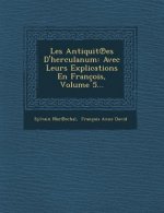 Les Antiquit Es D'Herculanum: Avec Leurs Explications En Francois, Volume 5...