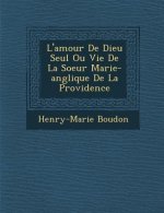 L'Amour de Dieu Seul Ou Vie de La Soeur Marie-Ang Lique de La Providence
