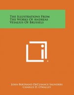 The Illustrations From The Works Of Andreas Vesalius Of Brussels