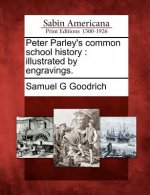 Peter Parley's Common School History: Illustrated by Engravings.
