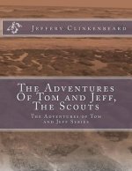 The Adventures Of Tom and Jeff, The Scouts: The Adventures of Tom and Jeff Series