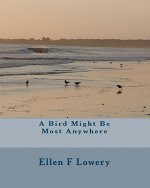 A Bird Might Be Most Anywhere