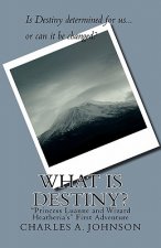 What Is Destiny?: 