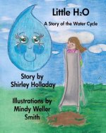 Little H 2 O: A Story About the Rain Cycle