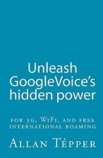 Unleash GoogleVoice's hidden power: for 3G, WiFi, and free international roaming