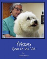 Tristan Goes to the Vet