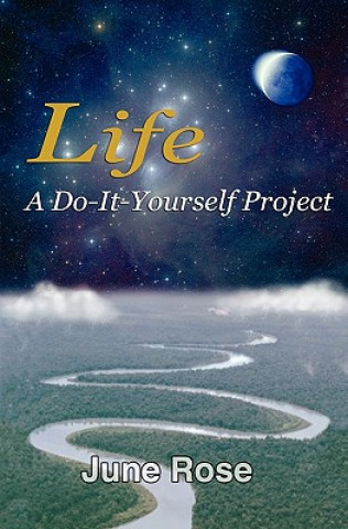 Life: A Do-It-Yourself Project: One Woman's Journey Discovering Life's Riches