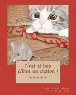 C'est si bon d'?tre un chaton !