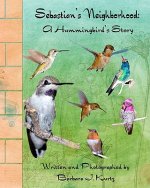 Sebastian's Neighborhood: A Hummingbird's Story