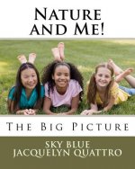The Big Picture!