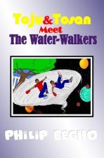 Toju & Tosan Meet the Water-Walkers: Bible Land Series