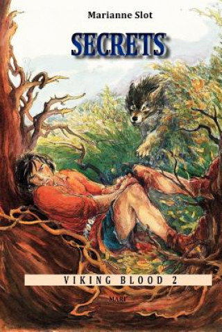 Viking Blood 2: Secrets
